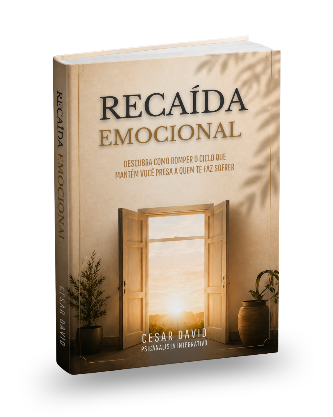 Capa do livro Recaída Emocional, de Cesar David
